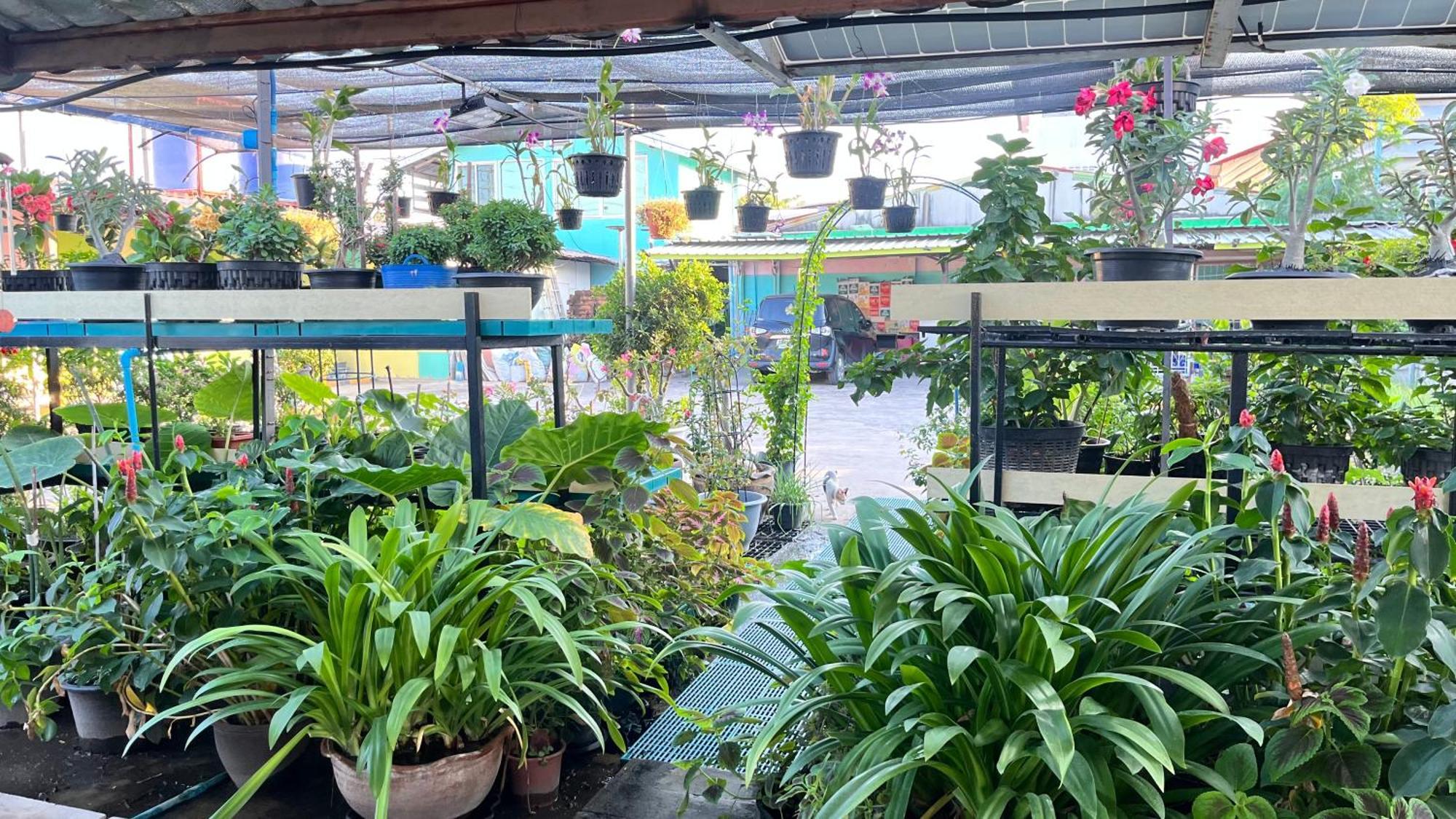 Pa Chalermchai Guesthouse Bangkok Bagian luar foto